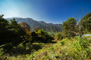 篁嶺秋色