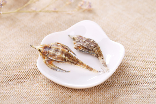 海燕中藥材滋補養(yǎng)生