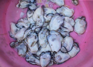 蠔食材