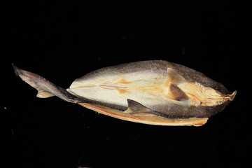 海鮮鯊魚