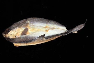 鯊魚煲