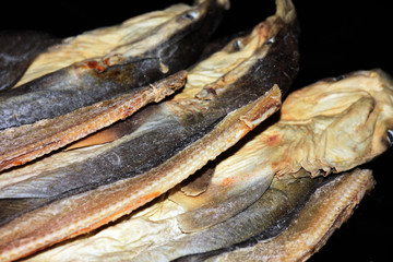 小鯊魚