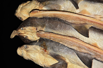 鯊魚翅
