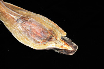 海味鯊魚