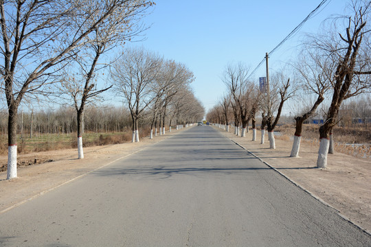 鄉(xiāng)村道路