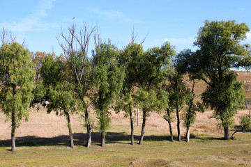 內(nèi)蒙古農(nóng)村風(fēng)光