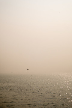 太湖風(fēng)光