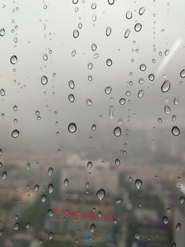 雨中世界