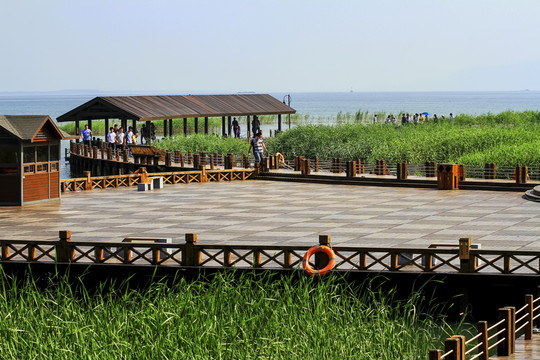 太湖濕地公園