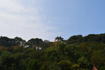 風(fēng)景