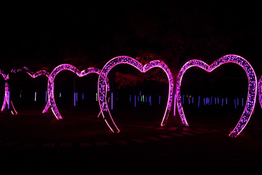 大觀公園燈光造型