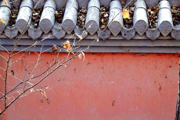 紅墻