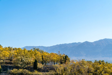 中國古代的豪門住宅建筑群