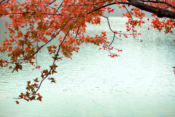 楓紅仙女湖