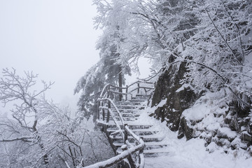 黃山棧道