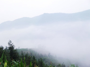 初夏鄉(xiāng)村的早晨