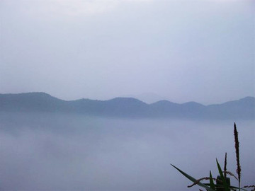 初夏鄉(xiāng)村早晨