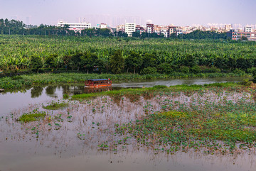 華陽湖濕地公園