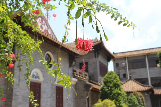 清暉園