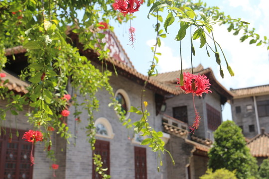 順德清暉園