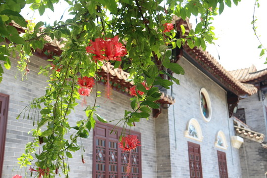 順德清暉園