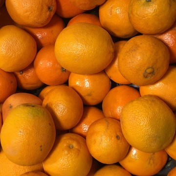 香橙