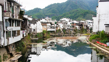 金庸祖籍婺源鳳山鄉(xiāng)