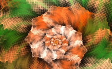 花紋圖案