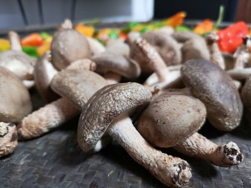 蔬菜