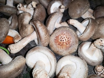 蔬菜