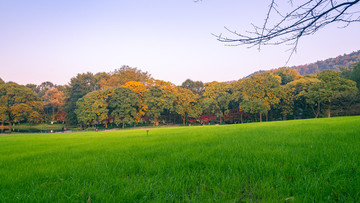 西湖太子灣公園一角