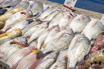 魚貨