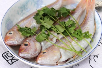 小黃魚