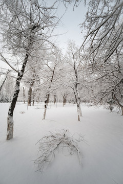 雪景