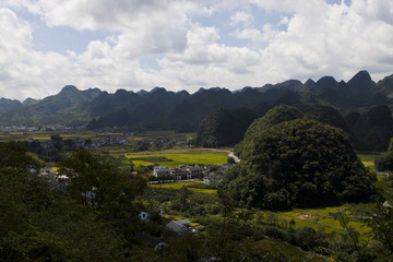 萬峰林