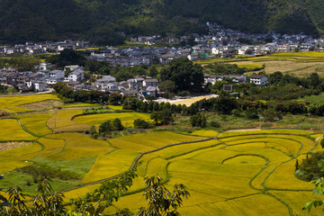 萬峰林
