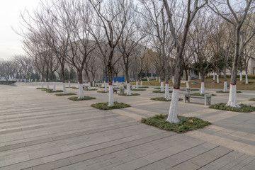 冬天樹(shù)林