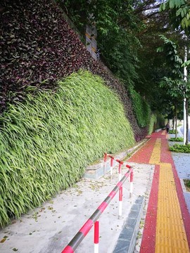 人行道