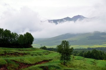 青藏高原風(fēng)景