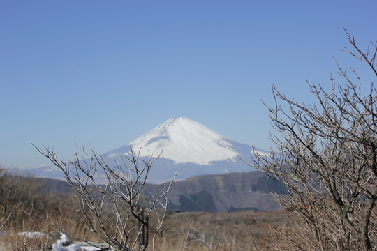 遠(yuǎn)眺日本富士山