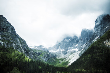 雪山雪松云霧山谷高原風(fēng)光