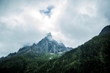 雪松森林中的頂峰