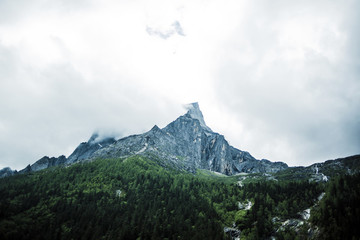 雪松森林中的山巒