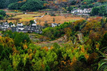 秋色協(xié)里田園