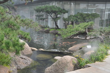 羅紅藝術(shù)館的室外環(huán)境