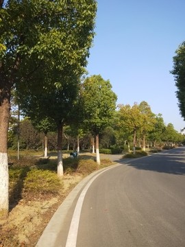 路