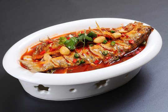 臭桂魚