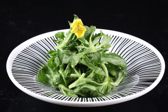 高原冰草