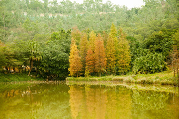 深圳龍崗龍城公園