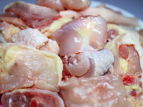 雞肉